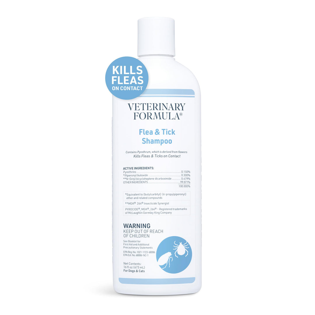 Flea and Tick Shampoo for Dogs and Cats, 16 oz