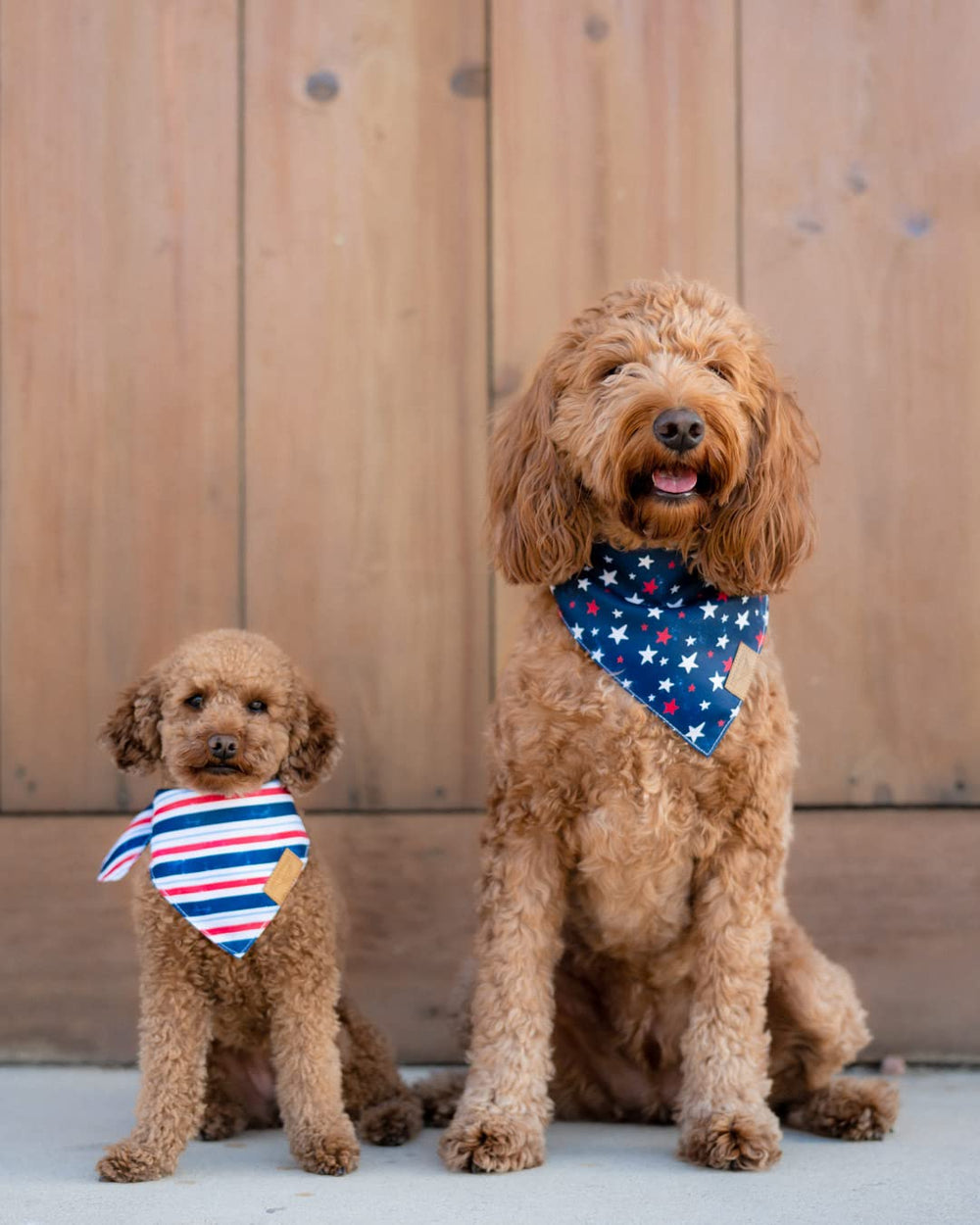 Dog Bandanas - 2 Pack | Stars+Stripes Set | Premium Durable Fabric | Unique Shape | Adjustable Fit | Multiple Sizes Offered | (Large)