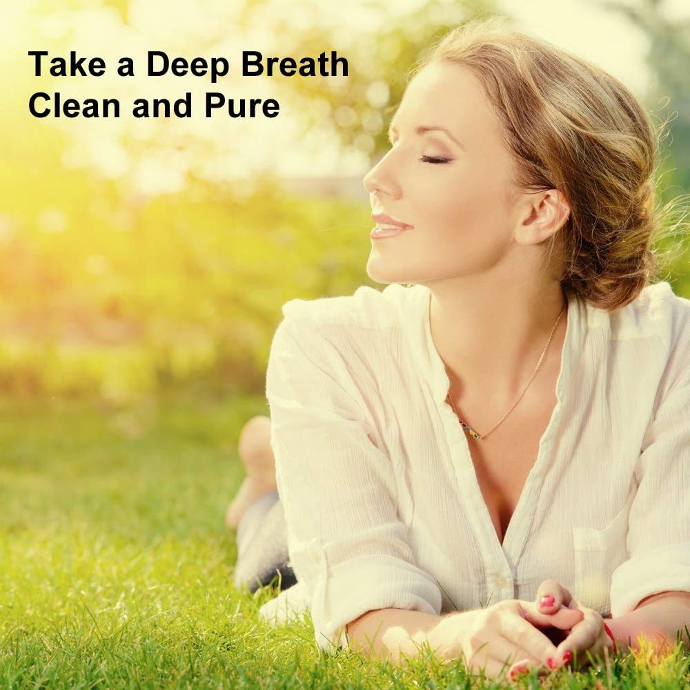 Ultra-Breathable Nasal Filters, Seasonal and dust Allergies aid (Narrow, XL, 6 Pack)