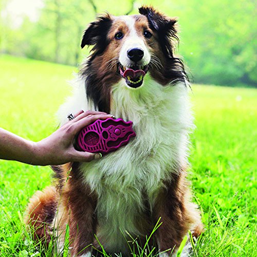 - ZoomGroom - Dog Brush for Grooming and Shampooing - Blue Brush for Large Dogs