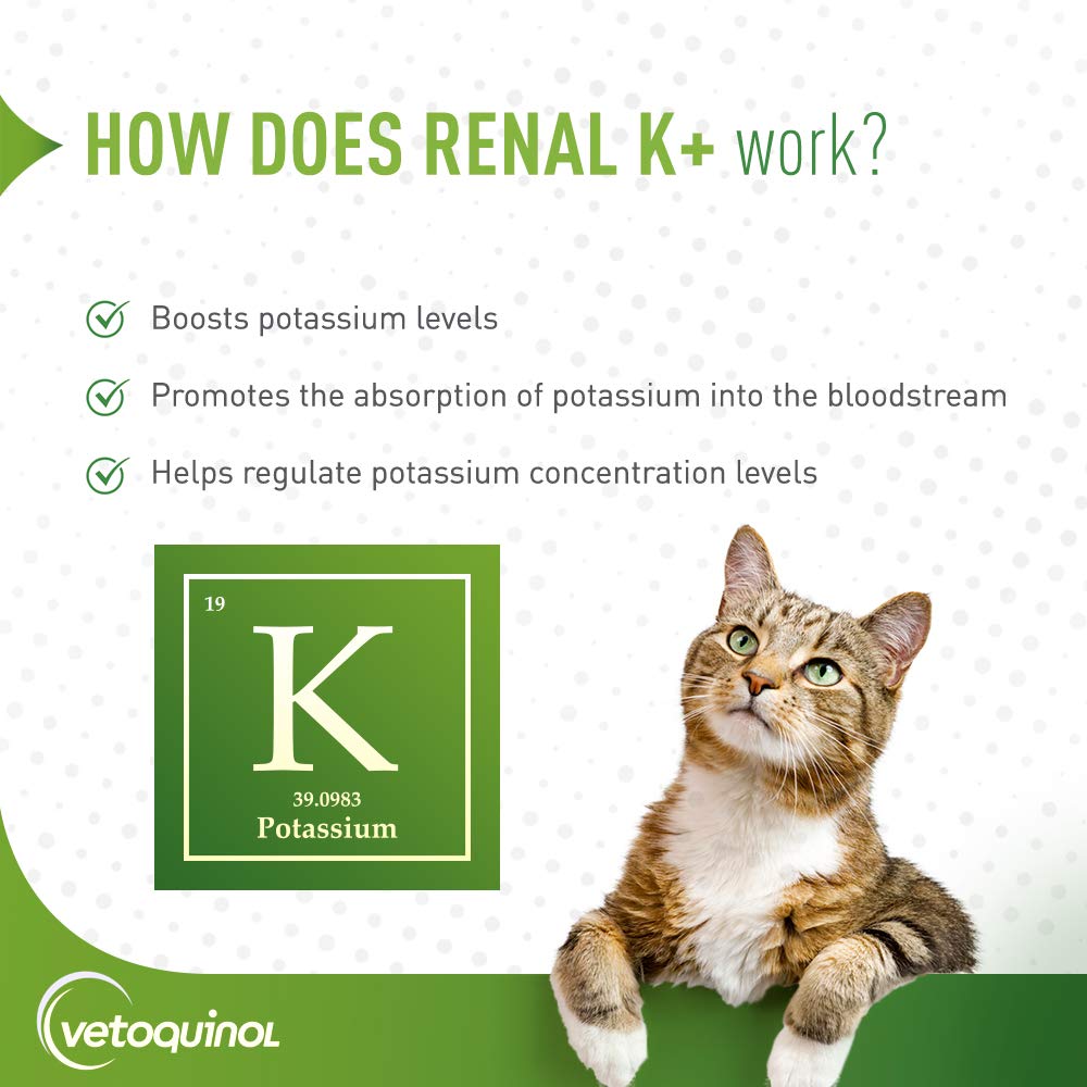 Renal K+ (Potassium Gluconate) Potassium Supplement Gel for Dogs and Cats, 5oz