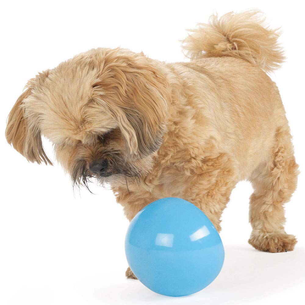 by Planet Dog Snoop Durable Interactive Treat Dispensing Dog Toy, Large, Blue