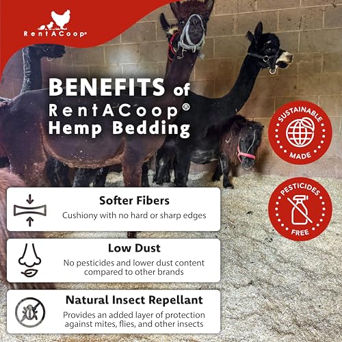 Premium Hemp Bedding (300 L) x 1 Pack - E.U. Grown for Chicken Coop, Nesting Boxes, Rabbits, Hamsters, Small Pets, Horses, Etc.