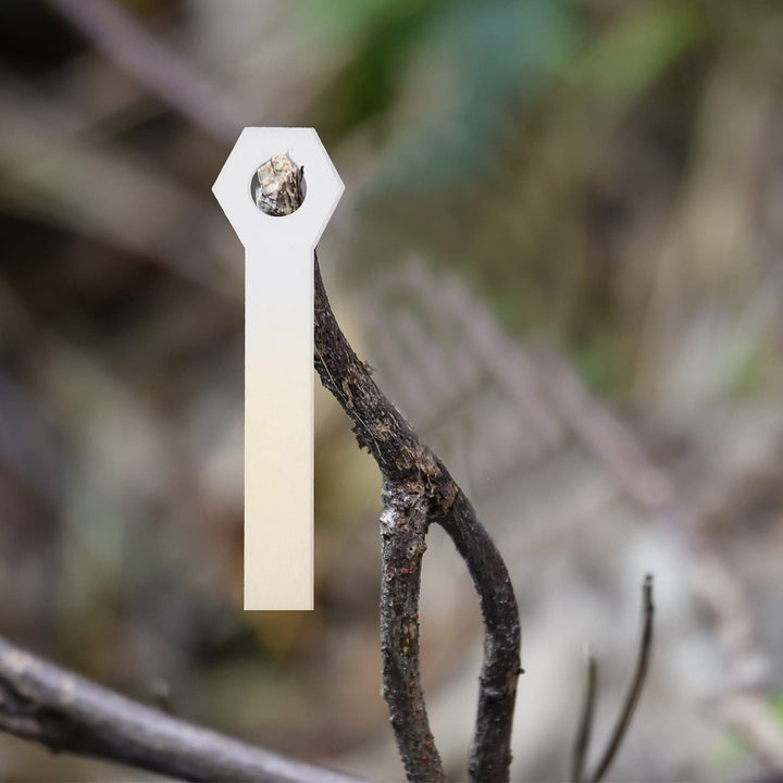 Deer Urine Wick Hunting Scent Buck Attractant Scent Absorbing Wick Doe Pee Wick Rut Scent Buck Lure Scent Dispersal Wicks for Hunting Whitetail Deer Scent Drags (30)