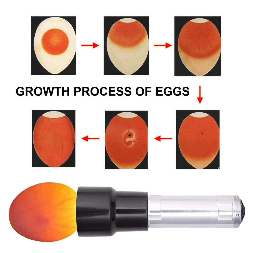 Light Egg Candler Tester Bright Cool LED Candling Lamp for All Chicken Dark Quail Duck Canary Pigeon Eggs. (red)