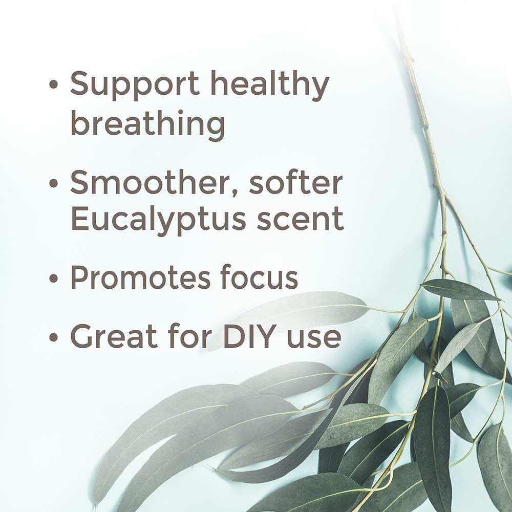 Eucalyptus Radiata Essential Oil 100 mL (3.3 oz) 100% Pure, Undiluted, Therapeutic Grade