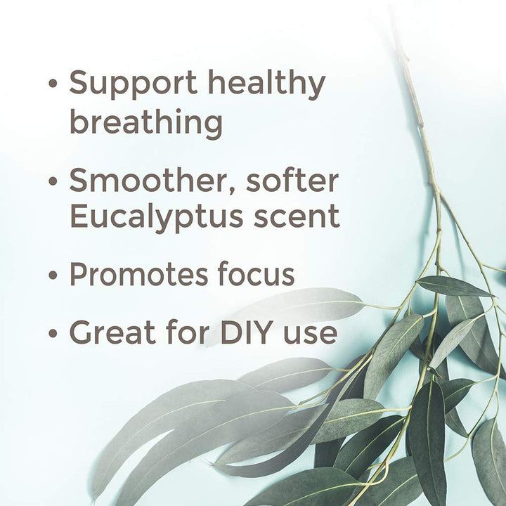 Eucalyptus Radiata Essential Oil 100 mL (3.3 oz) 100% Pure, Undiluted, Therapeutic Grade