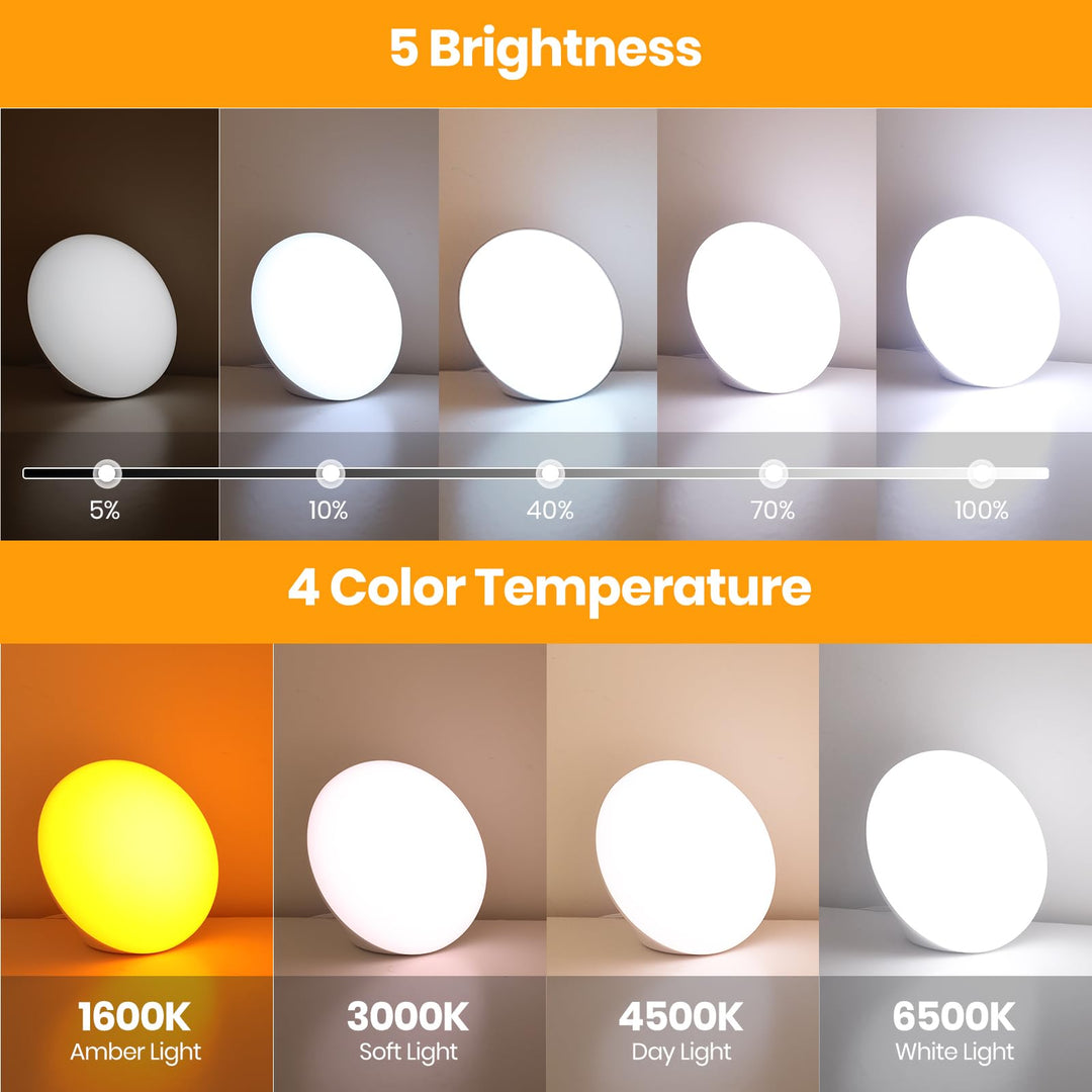 Sun Lamp, 10,000 Lux Sunlight Lamp with Touch Control, 5 Brightness Level & 60Min Timer, One-Max Sun Lamp with Memory Function for Home/Office(White)