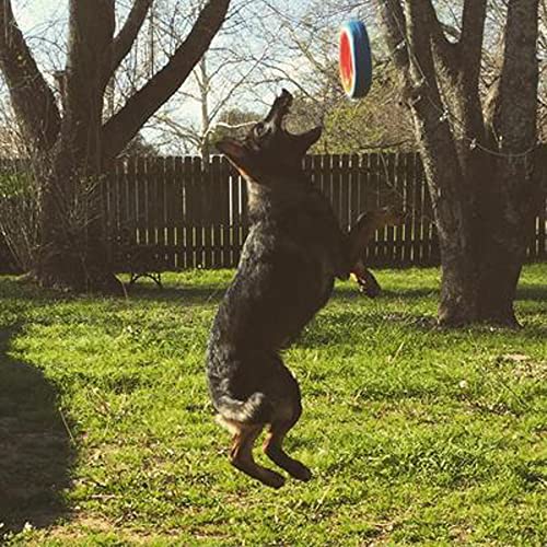 Fetch Wheel Outdoor Dog Toy, Large, For Large Breeds