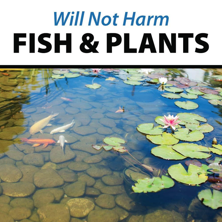 PondShock Ball, Natural Enzymes & Live Bacteria, Freshwater Clarifier Shock Treatment, Muck & Sludge Remover for Small Pond & Outdoor Water Garden Ponds, Koi Fish & Aquatic Plants Safe