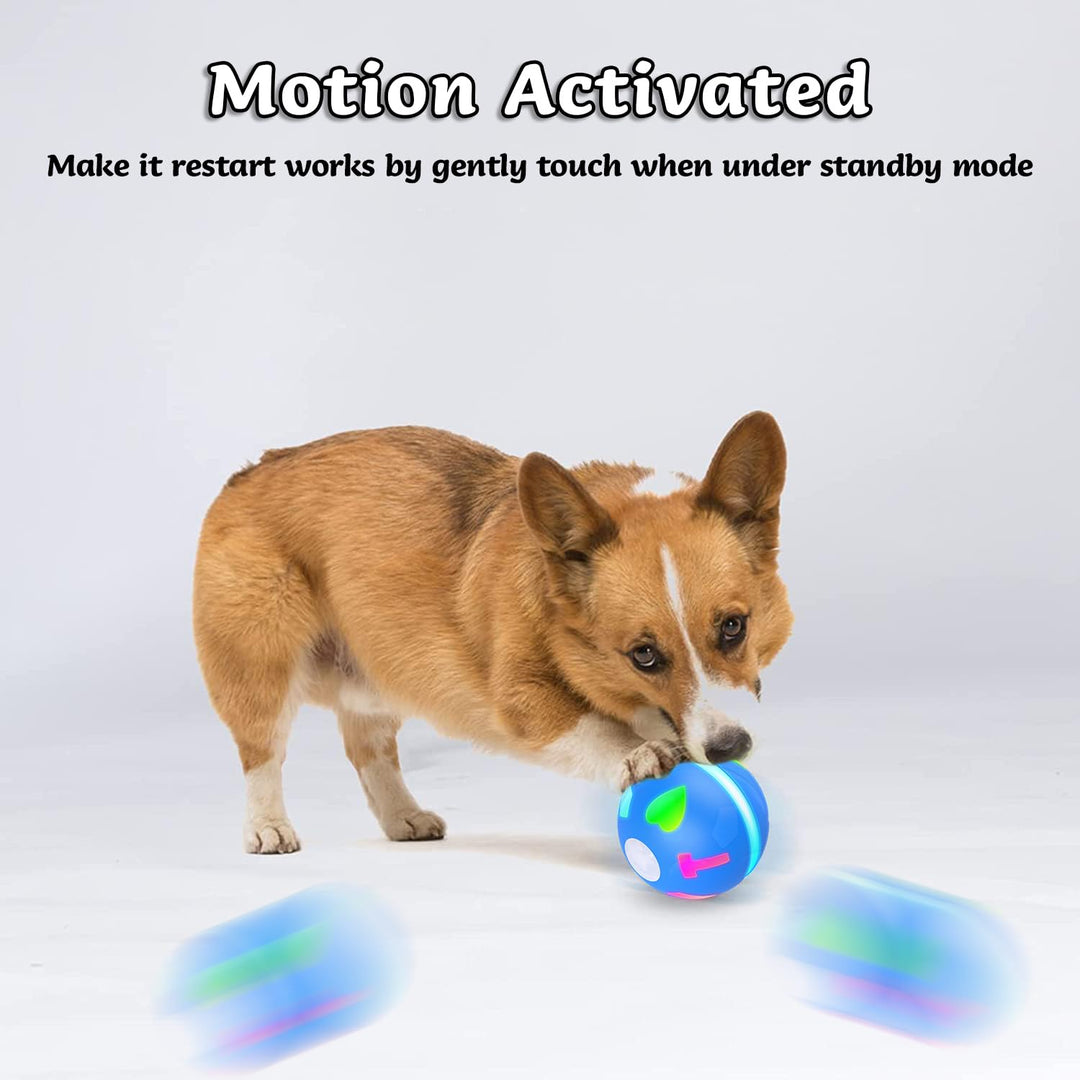Interactive Dog Toy Wicked Ball for Indoor Cats/Dogs with Motion Activated/USB Rechargeable