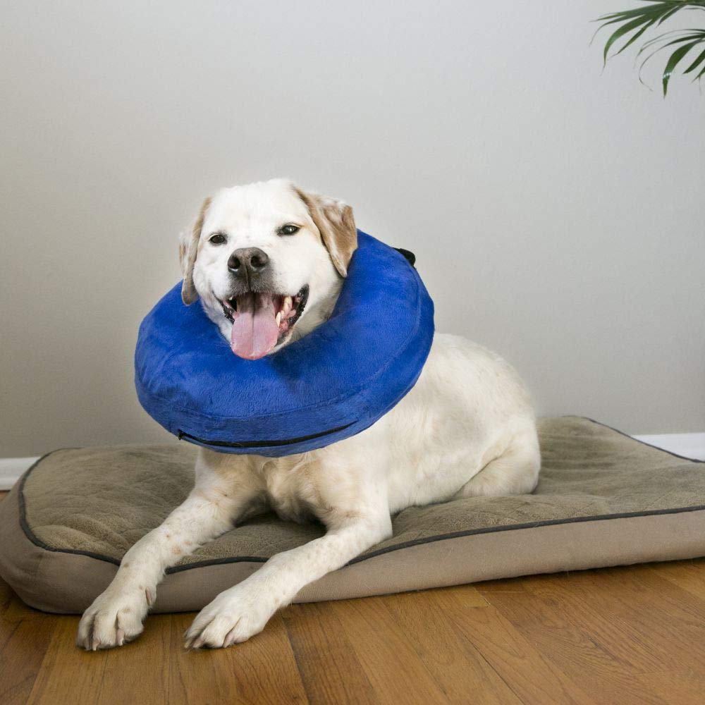 - Cloud Collar - Plush, Inflatable E-Collar - For Injuries, Rashes and Post Surgery Recovery - For Medium Dogs/Cats