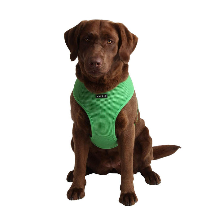 Soft Dog Harness No Choke Over-The-Head Triple Layered Breathable Mesh Adjustable Chest Belt and Quick-Release Buckle, Green, Small
