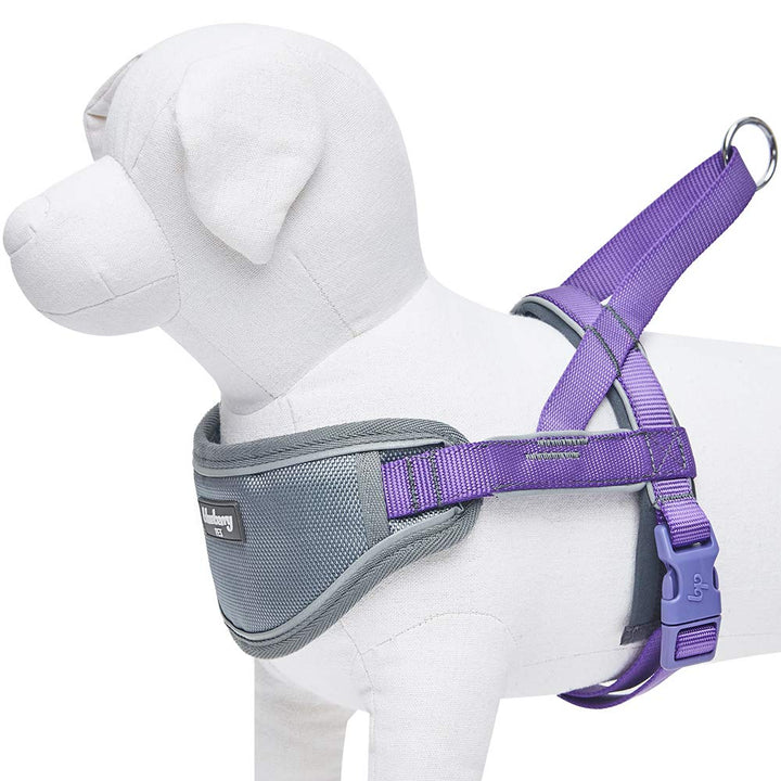 8 Colors Soft & Comfy 3M Reflective Strips Padded Dog Harness Vest, Chest Girth 30 - 38.5, Purple, Large, Nylon Adjustable Training Harnesses for Dogs