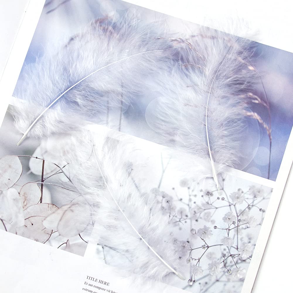 200pcs 4-6 Inches Fluffy Turkey Marabou White Feathers for Crafts Dreamcatcher Fringe Trim Colored Feathers Accessories Pack