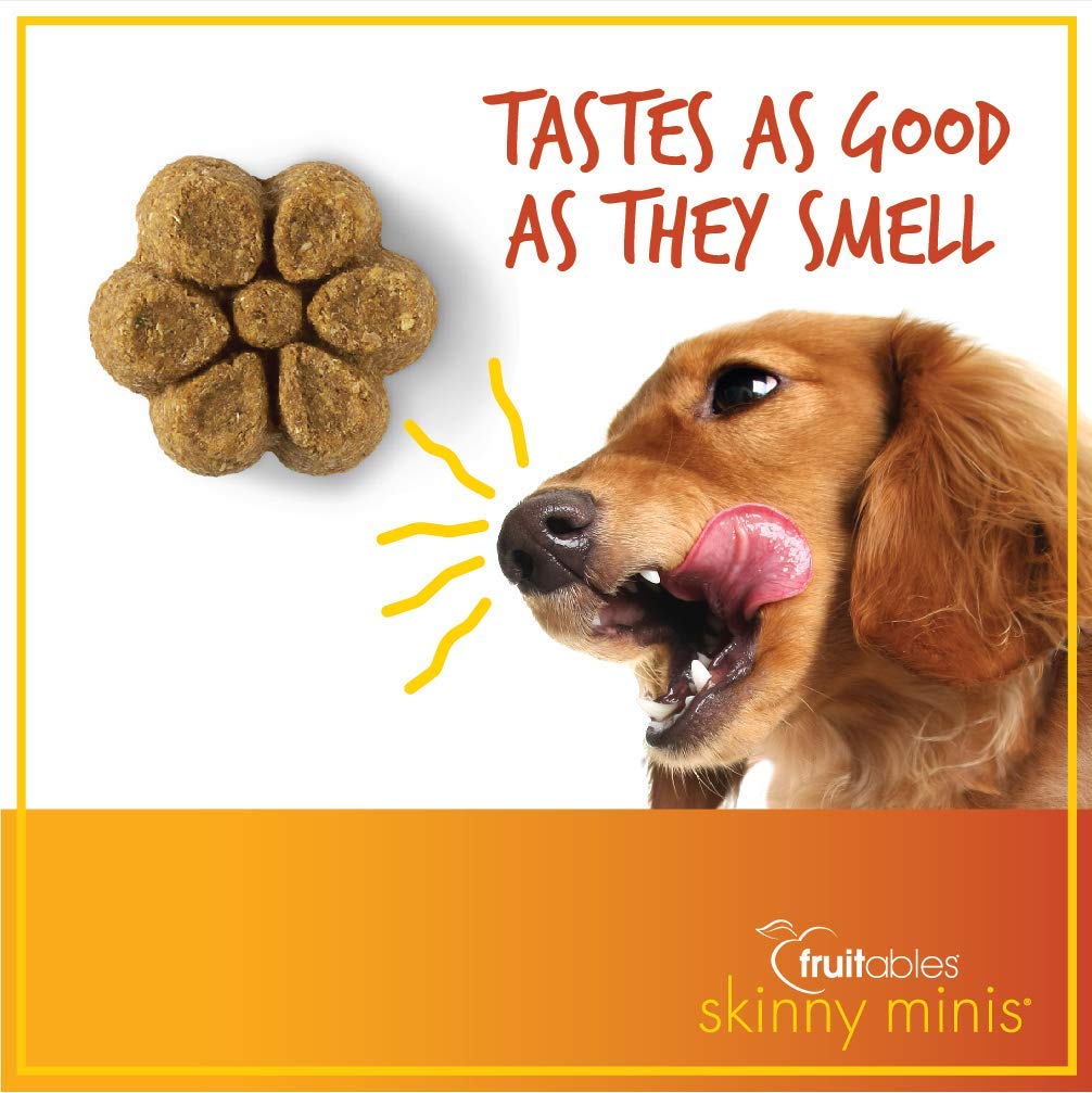 Skinny Mini Dog Treats, Healthy Pumpkin Treat for Dogs, Low Calorie & Delicious, Puppy Training, Free of Wheat, Corn and Soy, Made in the USA, Pumpkin and Mango Flavor, 5oz