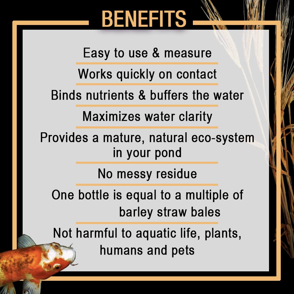 MLCBSEG4 Concentrated Barley Straw Extract Conditioner for Ponds and Outdoor Water Garden, Safe for Live Koi Fish, Plants, and Decorations, 1 Gallon