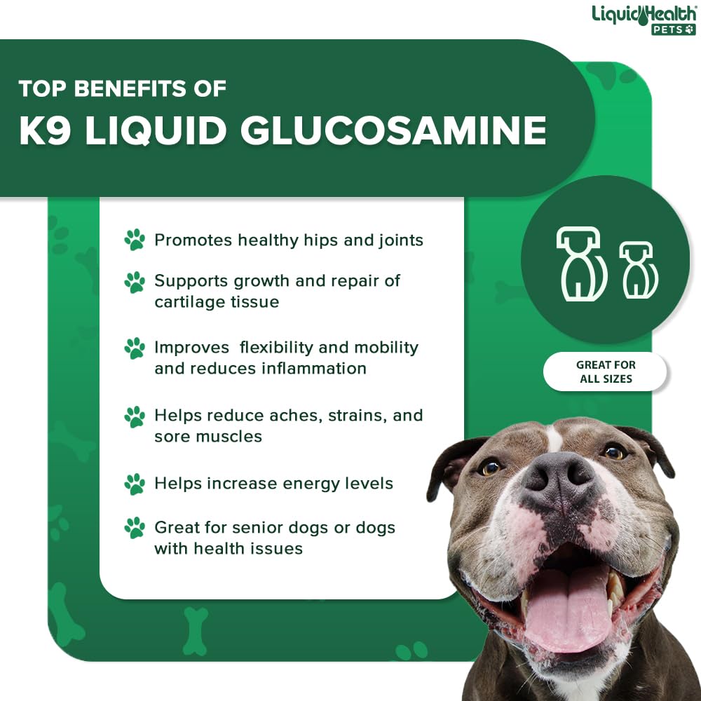 32 Oz K9 Liquid Glucosamine for Dogs, Puppies and Senior Canines - Chondroitin, MSM, Hyaluronic Acid – Joint Health, Dog Vitamins Hip Joint Juice, Dog Joint Oil