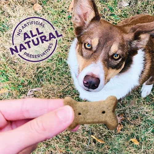 Wellness P-Nuttier Dog Biscuits, Natural, Training Treats, Peanut Butter Flavor, Small Size, (20 Ounce Bag)