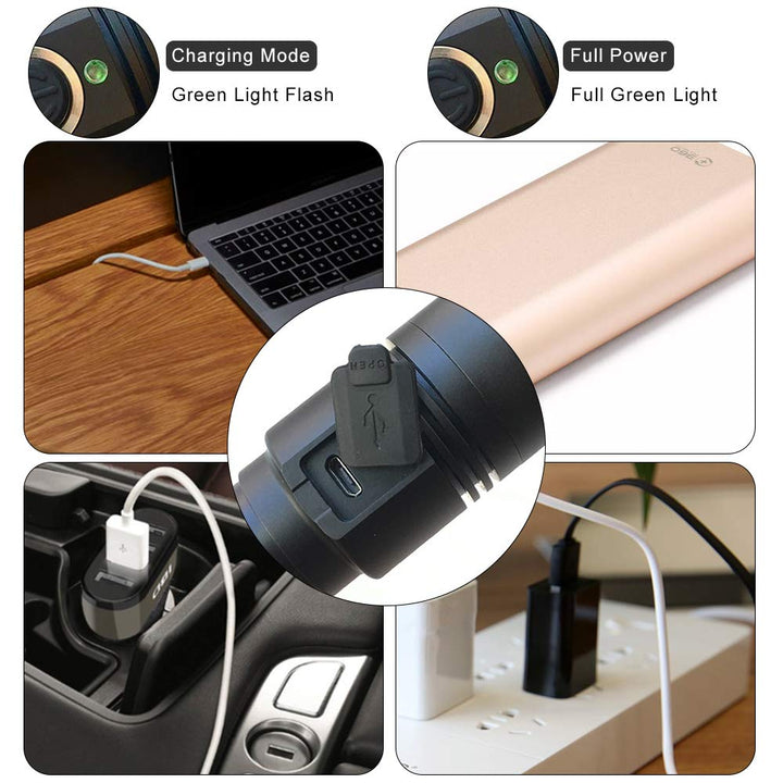 395nm UV Flashlight, Rechargeable Black Light Flashlight, LED Flashlight IP65 Water-Resistant Pet Urine Detector for Dog Cat Stains, Scorpion, Bed Bug, Household