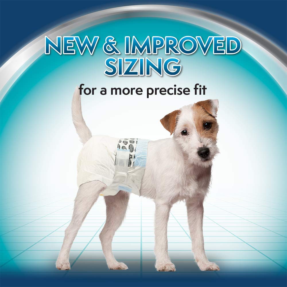 Disposable Dog Diapers for Female Dogs | Super Absorbent Leak-Proof Fit
