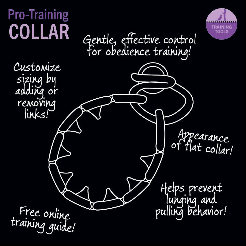 Pro-Training Dog Collar Large
