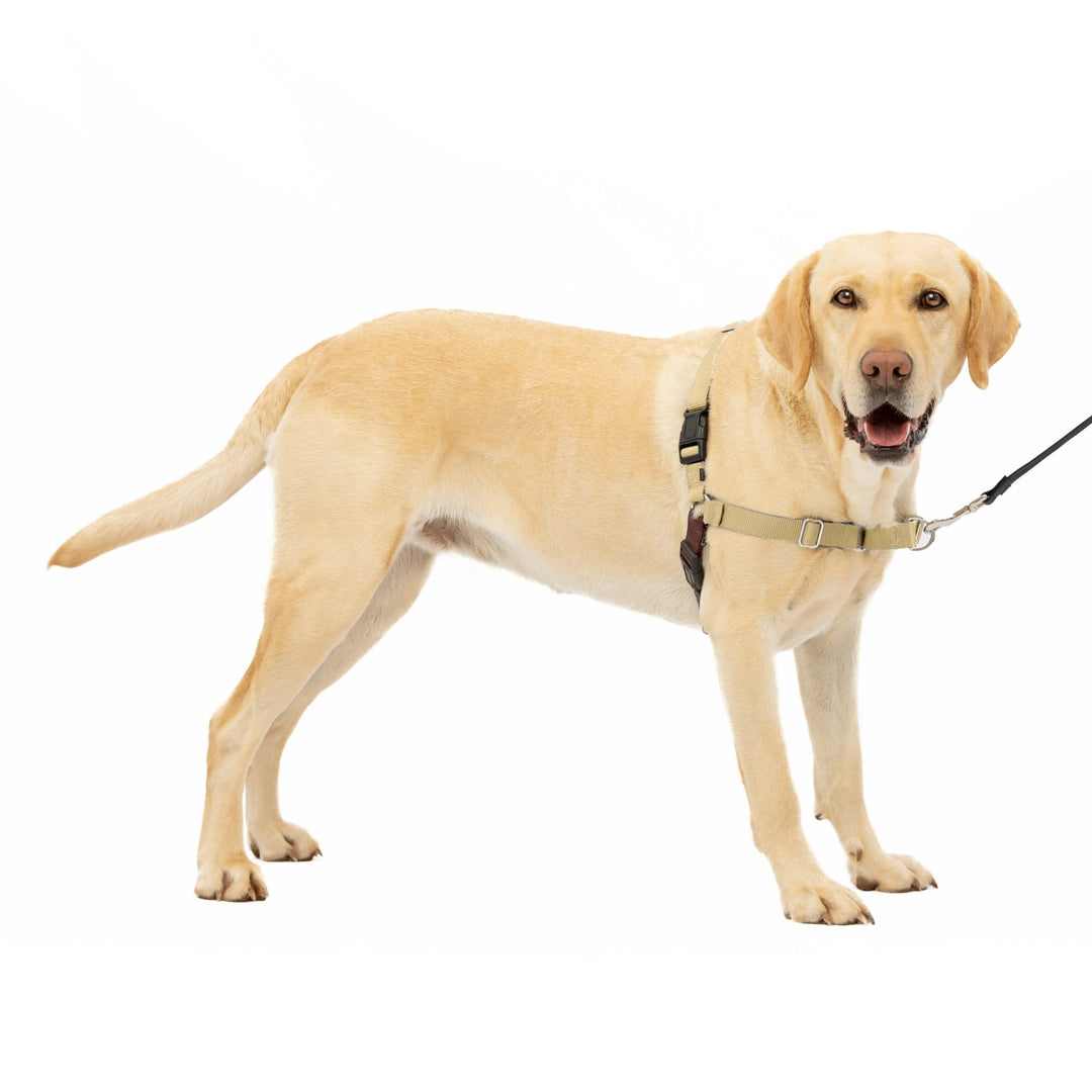 Easy Walk No-Pull Dog Harness - The Ultimate Harness to Help Stop Pulling - Take Control & Teach Better Leash Manners - Helps Prevent Pets Pulling on Walks, Large, Fawn/Brown