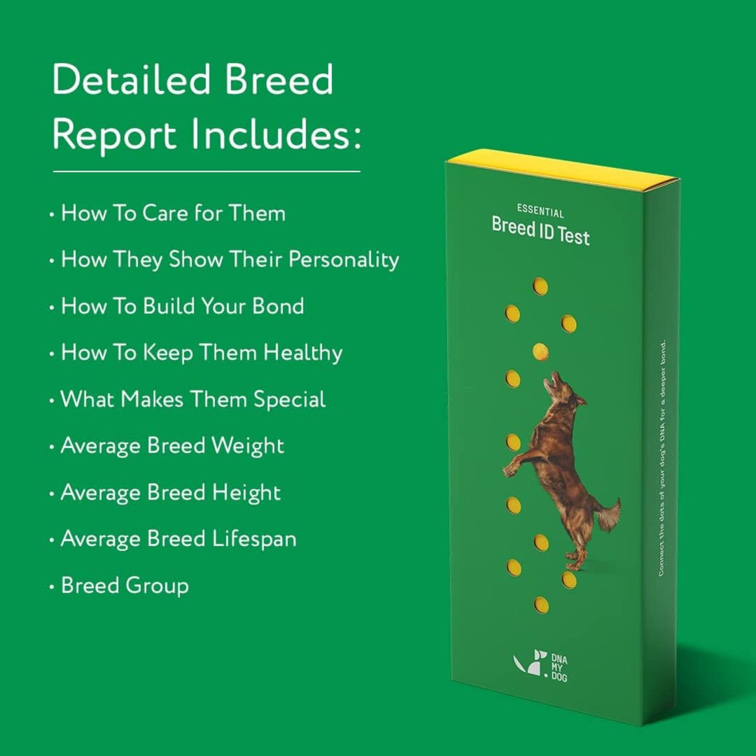 – Essential Breed ID Test | Accurate DNA Analysis of 350+ Dog Breeds | Easy-to-Use Kit | Non-Invasive Cheek Swab | Results in 2 Weeks | Includes DNA Certificate & Detailed Breed Report
