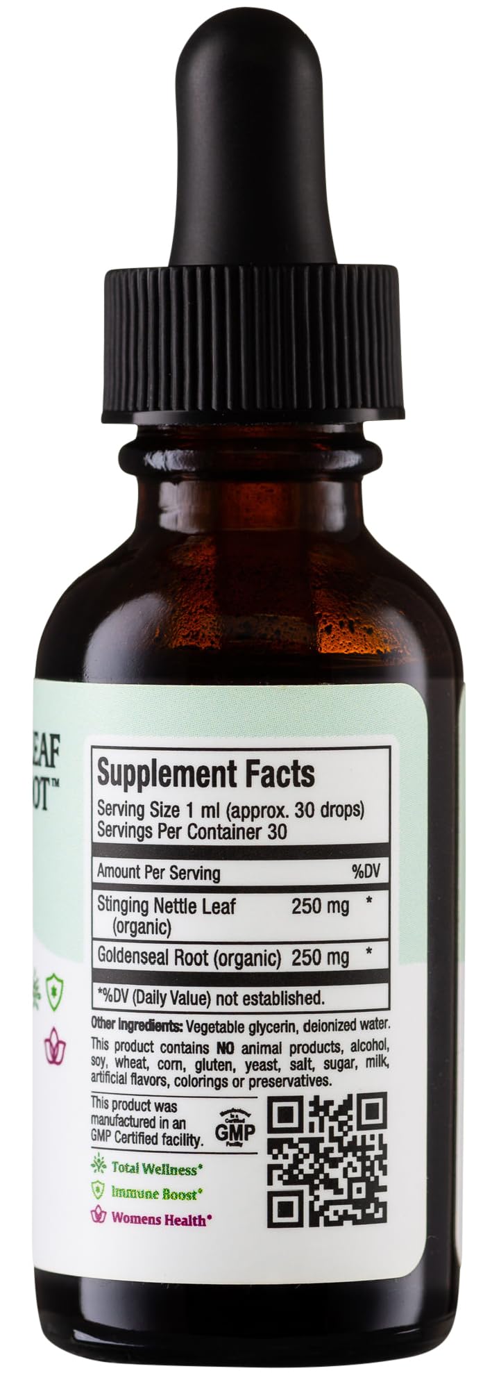 Stinging Nettle Leaf and Goldenseal Root Blend - Alcohol Free Stinging Nettle Tincture with Organic Nettle Leaf (Urtica Dioica) - Urinary Health, Kidney Support - Nettle Extract Liquid Drops, 1 fl oz