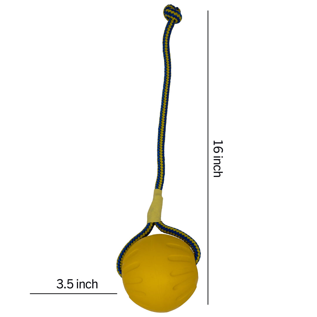 Swing 'n Fling DuraFoam Ball Dog Toy Large