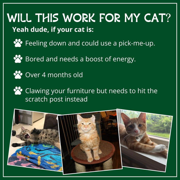 Organic Catnip , Safe Premium Blend Perfect for Cats, Instilled with Maximized Potency your Kitty is Guaranteed to Go Crazy for! (1 Cup)