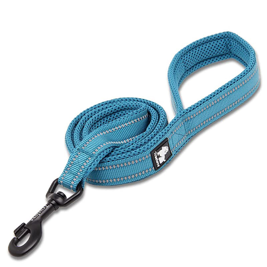 Reflective Dog Leash Puppy Walking Lead, Padded Pet Chain Rope,Length 200cm Truelove TLL2111(Blue,M)