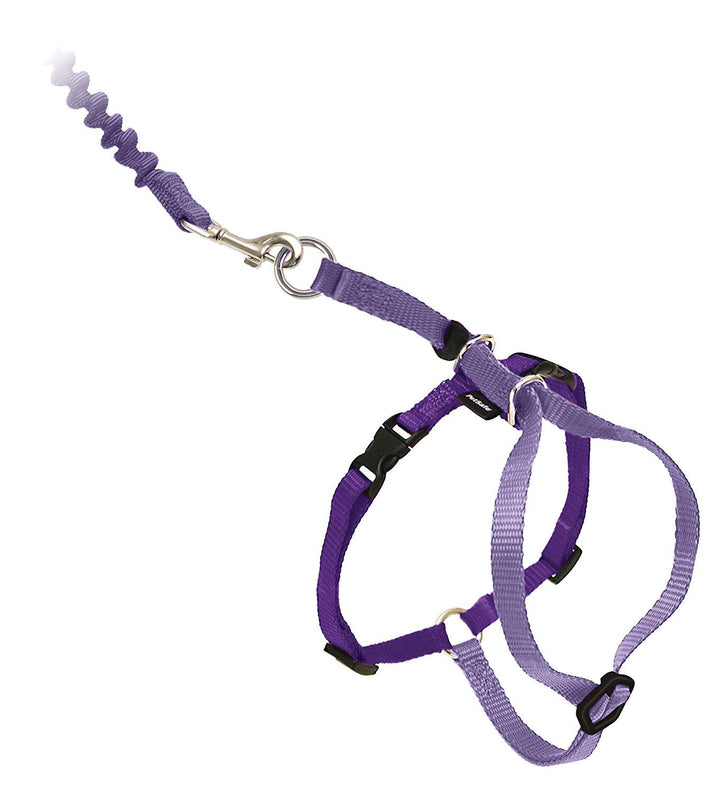 Come with Me Kitty Harness and Bungee Leash, Large, Lilac