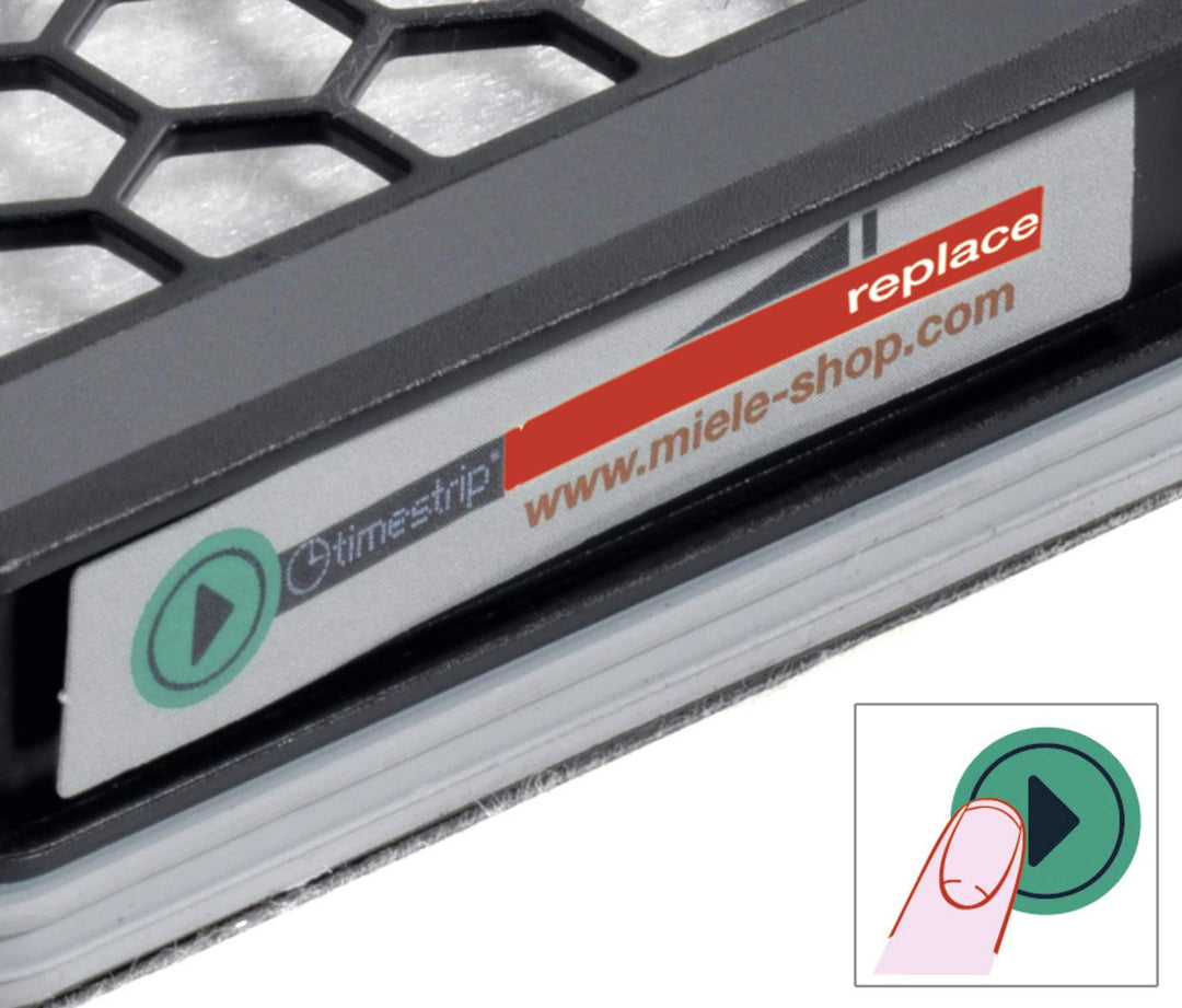 Filtre SF AA 30 d'Aspirateur Charbon Actif
