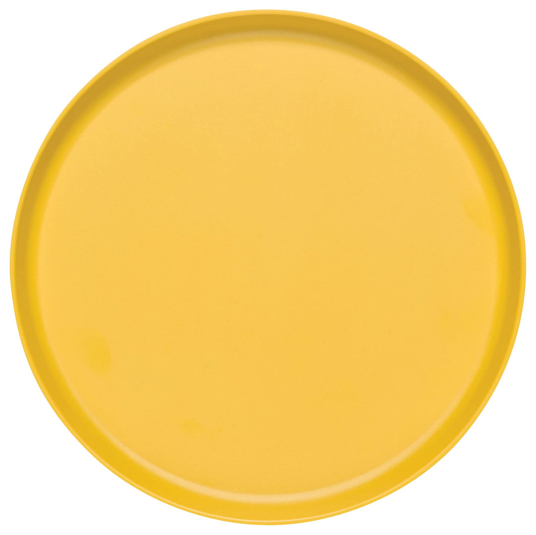Ecologie Dinner Plates, Set of Four, Fiesta Colors, DIA 10 x H 1 inches