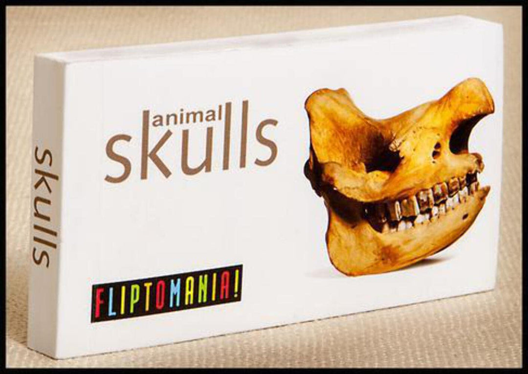 Shark Animation Flipbook