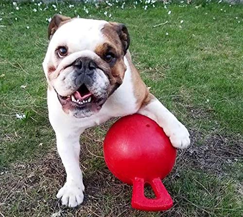 Dog 6-Inch Tug-n-Toss, Red (406 RD),6 Inches/Medium