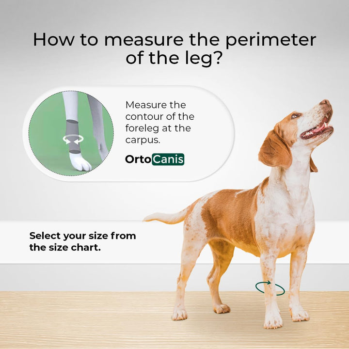 - Carpal Support for Dogs with Arthrosis, Ligament Injuries or Unstable Carpus, Size XL