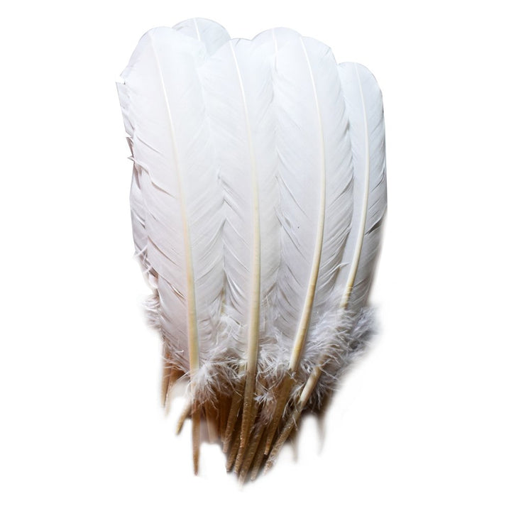 120 Pcs Turkey Quill Feathers 10-12 inches White