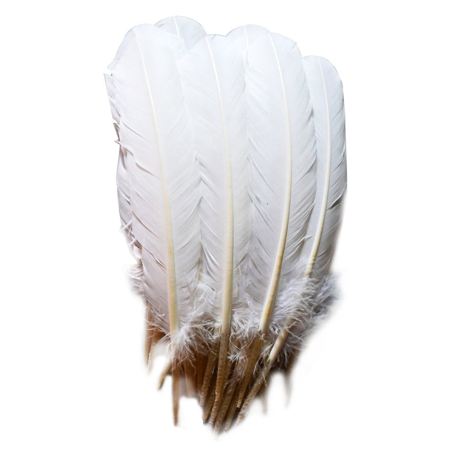 120 Pcs Turkey Quill Feathers 10-12 inches White