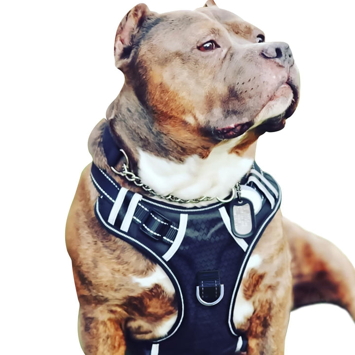 Big Dog Harness No Pull Adjustable Pet Reflective Oxford Soft Vest for Large Dogs Easy Control Harness (L, Black)