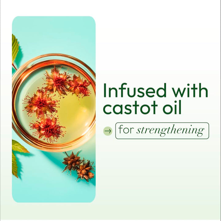 Olive Oil Incredibly Rich Oil Moisturizing Hair Lotion