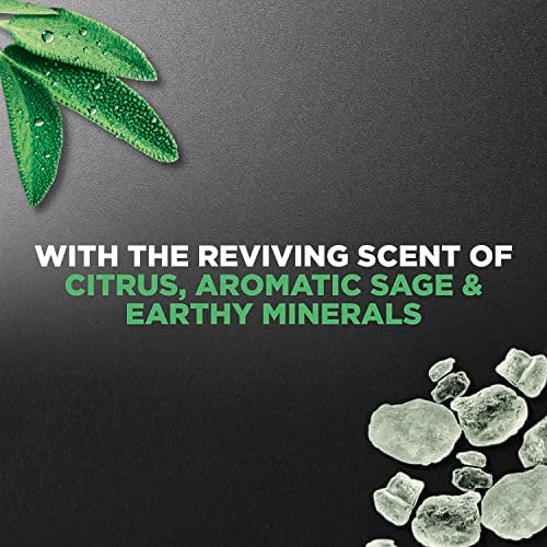 Elements Body Wash Mineral+Sage 18 oz Effectively Washes Away Bacteria While Nourishing Your Skin