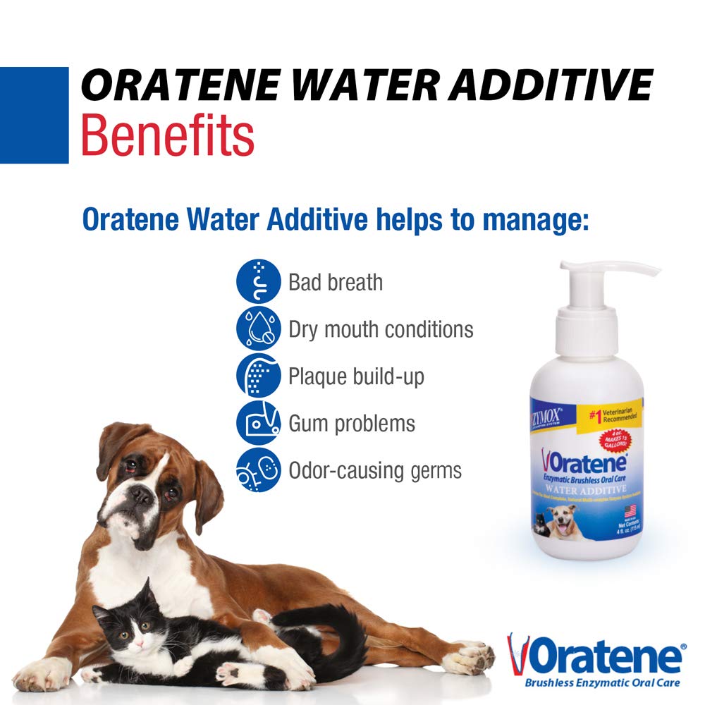 Zymox Oratene Water Additive Enzymatic Brushless Oral Care, 4oz