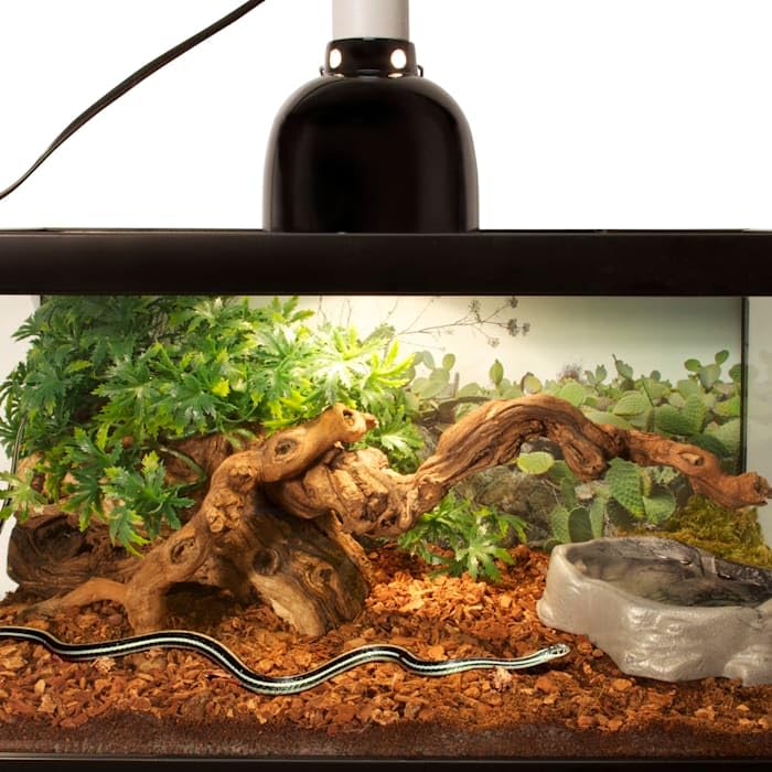 Premium Reptile Bark