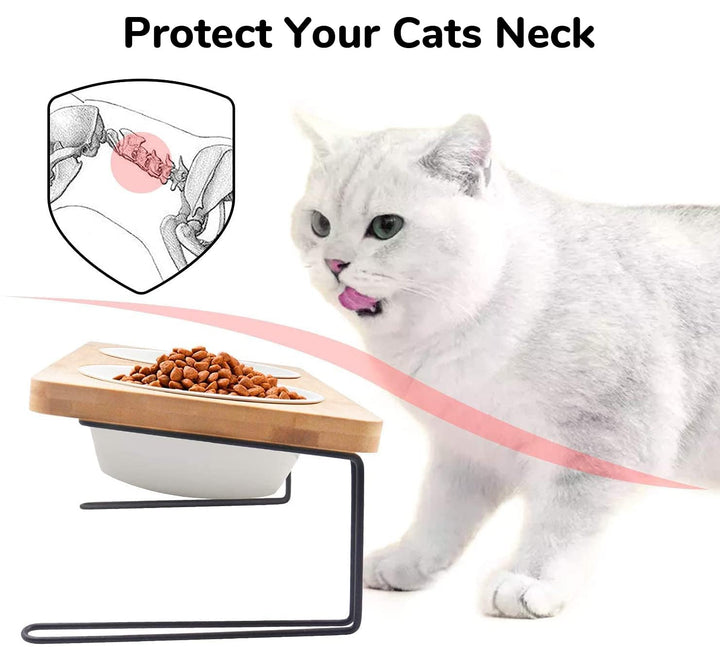 Elevated Cat Ceramic Bowls, Small Dog 15° Tilted Raised Food Feeding Dishes, Solid Bamboo Water Stand Feeder Set for Cats and Puppy