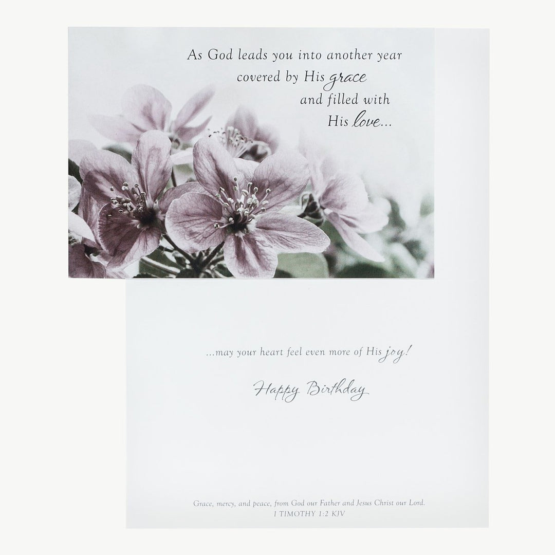 DaySpring Birthday - Inspirational Boxed Cards - Touch of Color - 37363