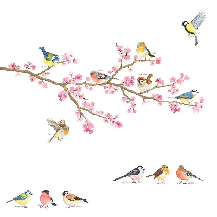 DWL-1904 Cherry Blossom Garden Birds Kids Wall Stickers Wall Decals Peel and Stick Removable Wall Stickers for Kids Nursery Bedroom Living Room dcor