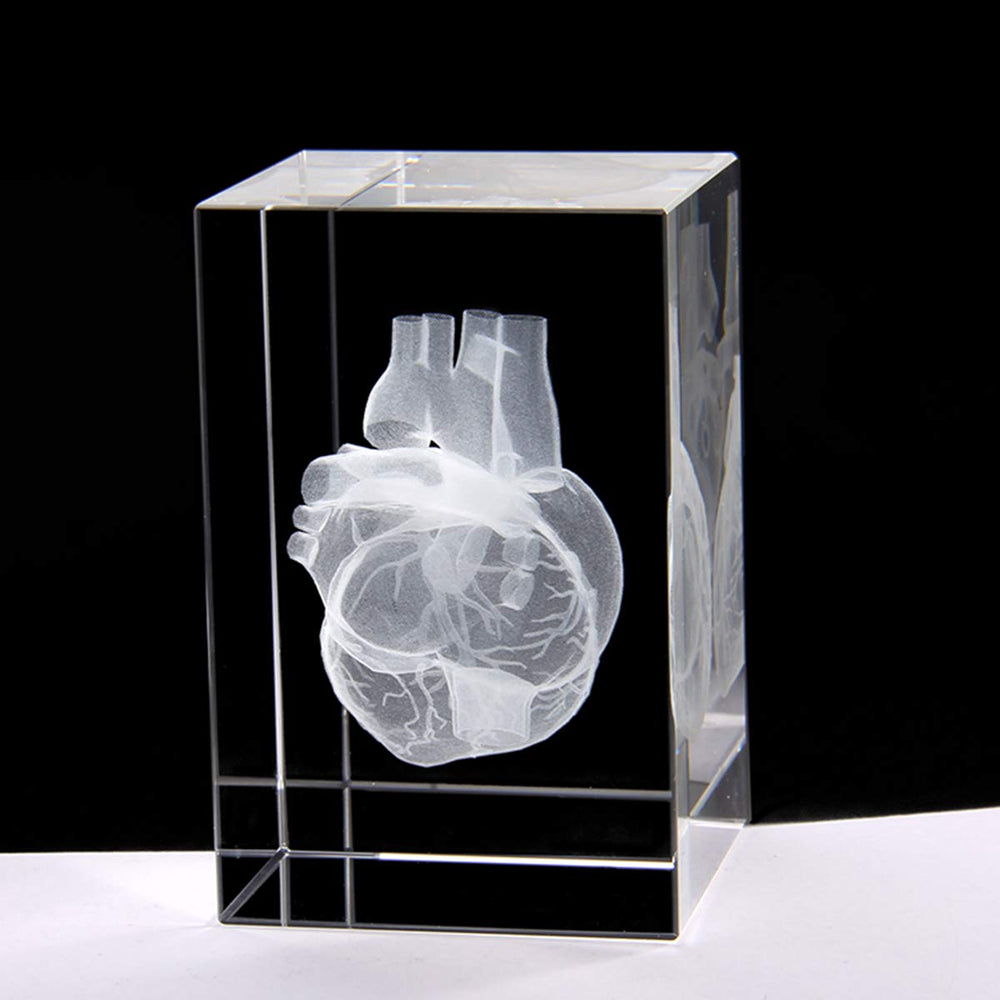 3D Human Heart Anatomical Model Paperweight(Laser Etched) in Crystal Glass Cube Science Anatomy Gift (No Included LED Base)(3.1x2x2 inch)