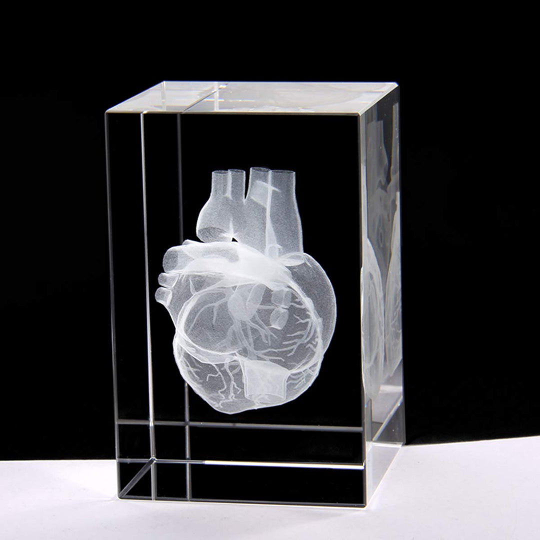 3D Human Heart Anatomical Model Paperweight(Laser Etched) in Crystal Glass Cube Science Anatomy Gift (No Included LED Base)(3.1x2x2 inch)